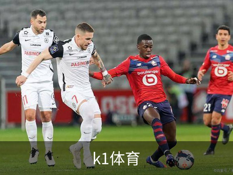 了解k1体育